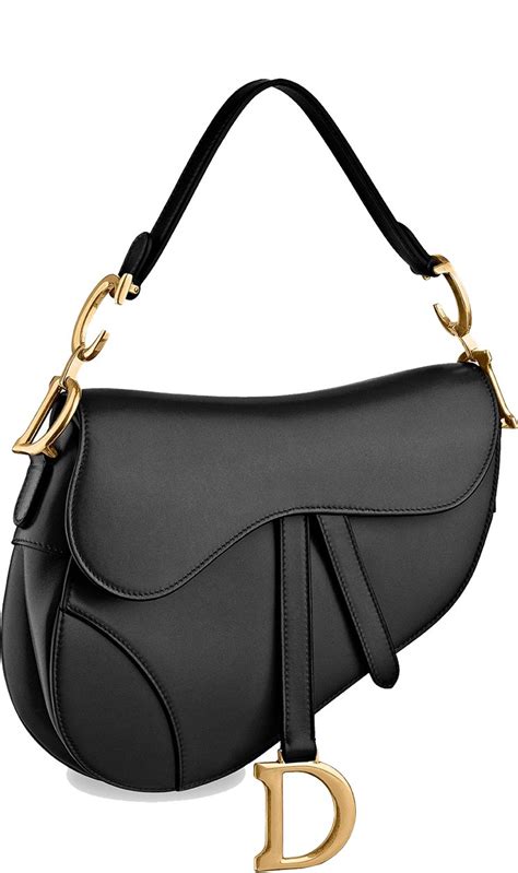 Dior saddle bag sale